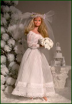 Photo - Winter Bride