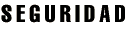 SEGURIDAD
