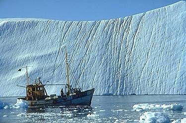 Sailing among the icebergs