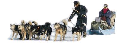 Nothing compares. . .