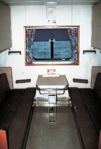 Watch out - a whale outside the window!