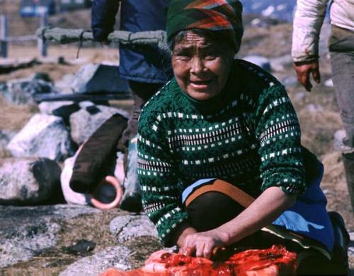 There are millions of seals in the sea around Greenland