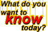 What do you want to know today?