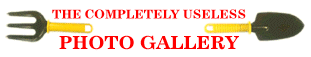 THE COMPLETELY USELESS PHOTO-GALLERY