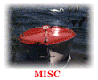 MISC