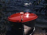 Boat and Swan