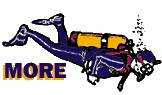 More!