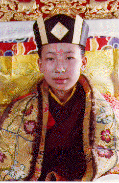 Karmapa Thaye Dorje