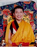 The 17. Karmapa
