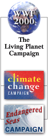 WWF 
Campaign Buttons