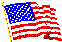 [ICON: American flag]