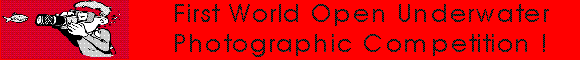 First World Open Underwater Photographic Competition !