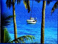 (Coco Loco i paradis)