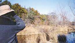 Author spotting something.