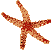 Starfish